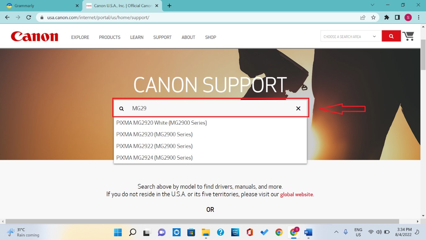 Canon MG2900