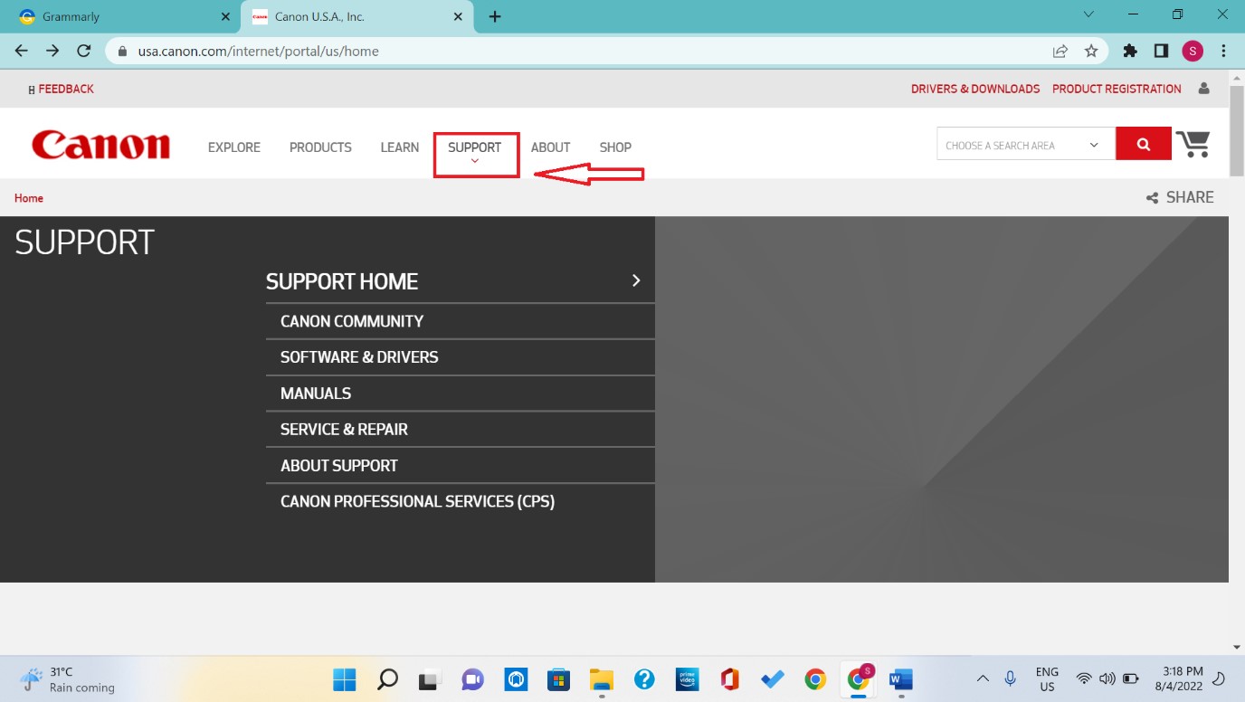 Canon MG2900 Driver search