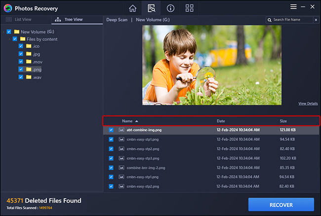 The pane below Preview shows the Name, Date, and Size of the scanned deleted images, audio, or video files.