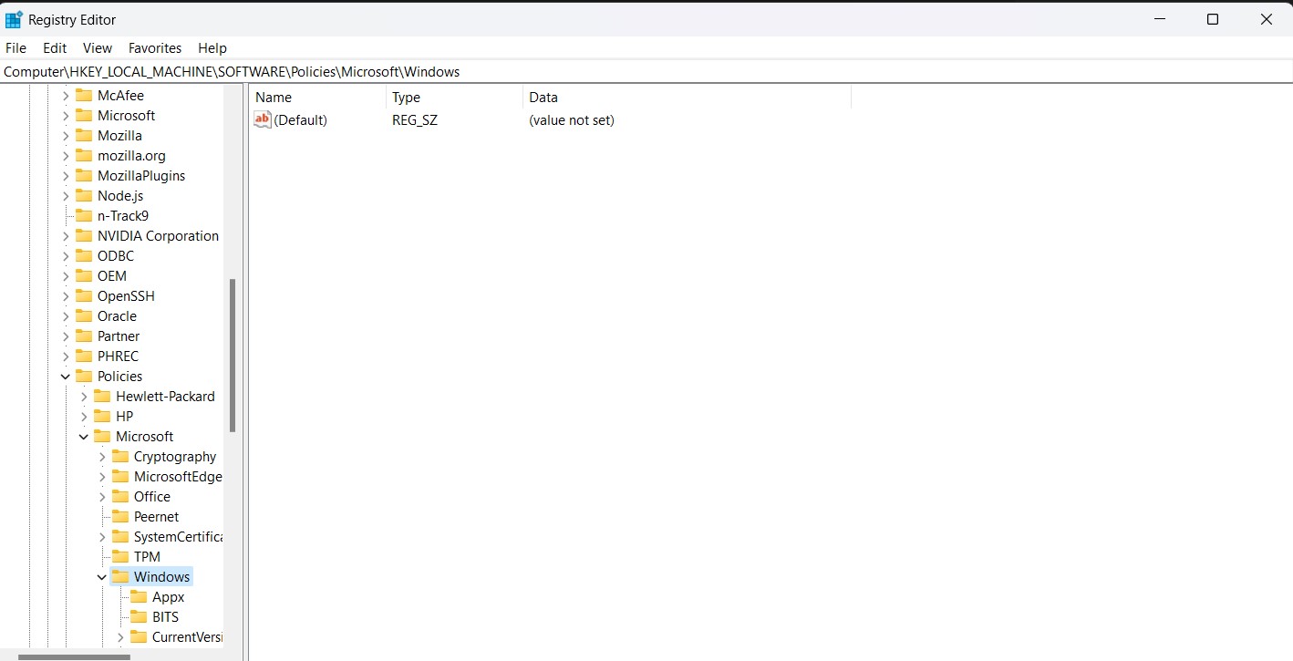 registy file