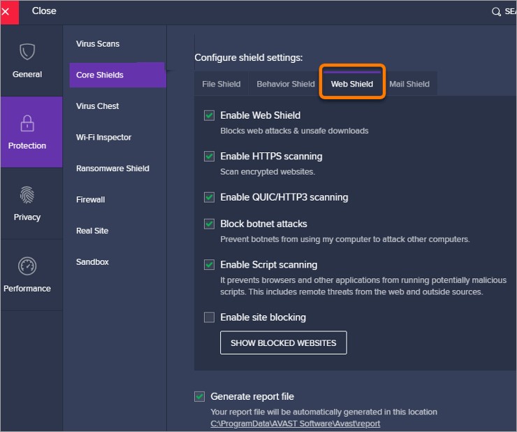 Web Shields option