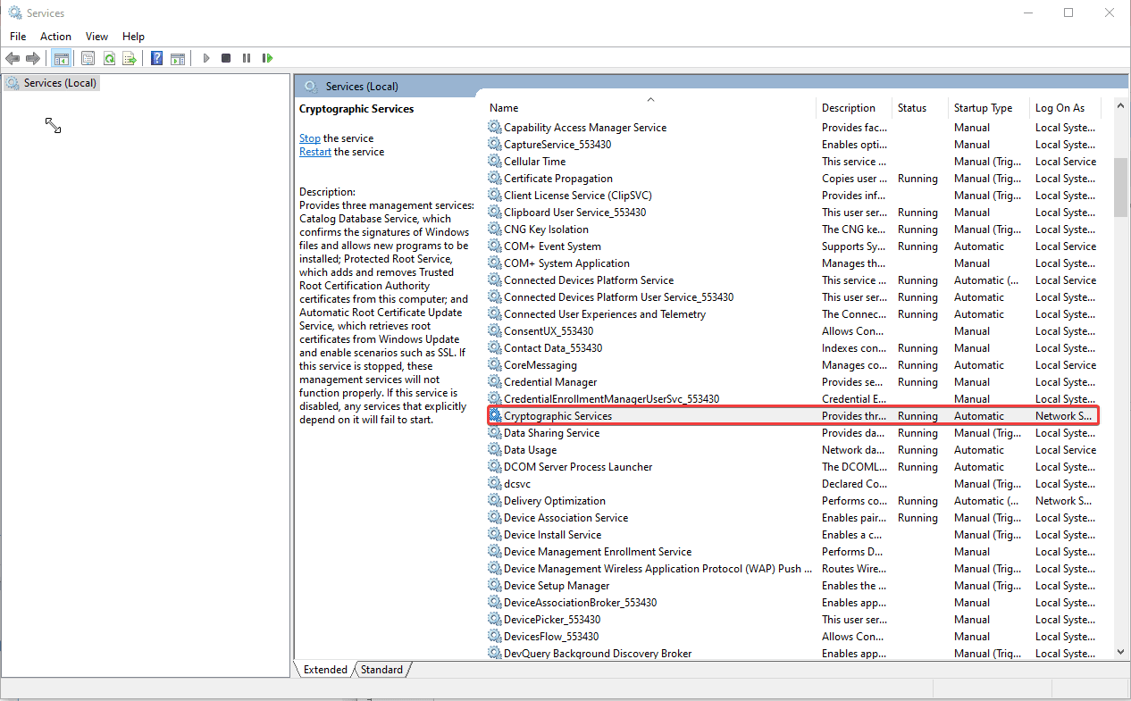 cryptographic services option