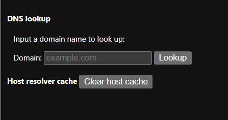 DNS Lookup
